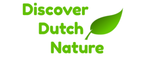 Discover Dutch Nature