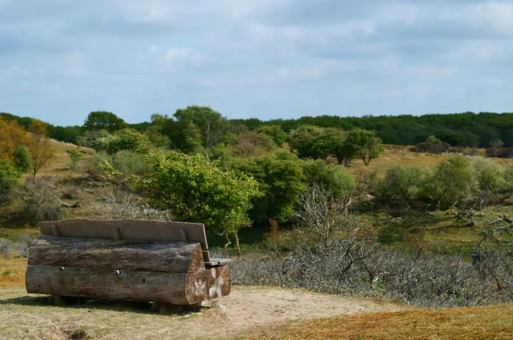 Amsterdamse Waterleidingduinen natuurgebied nederland bankje