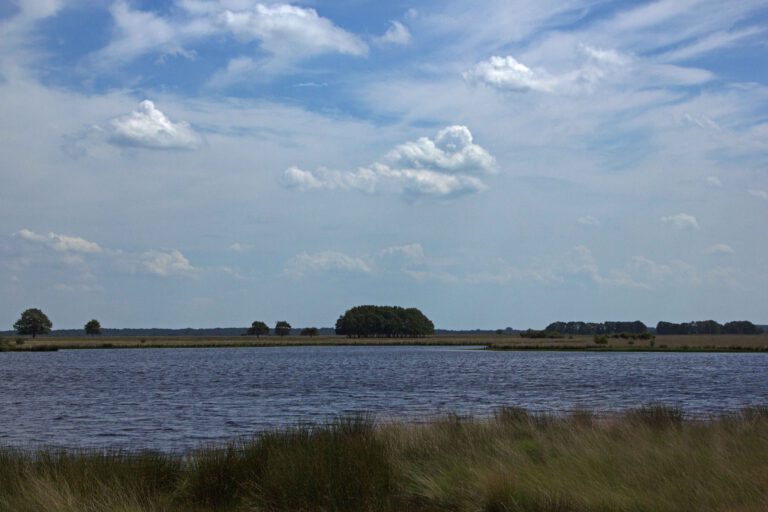 een vennetje in nationaal park dwingelerveld