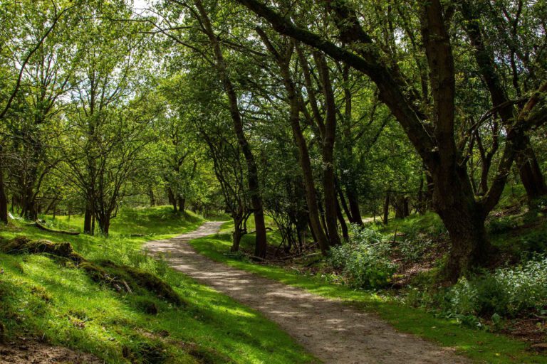 amsterdamse waterleidingduinen rode route