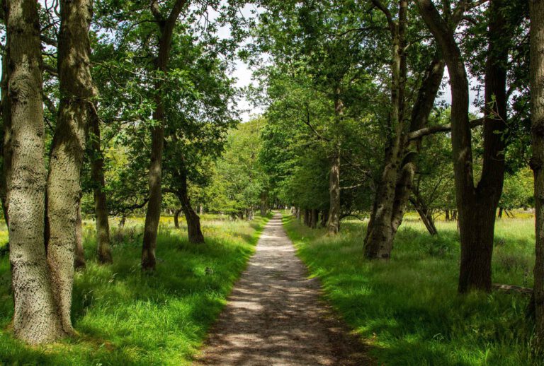 amsterdamse waterleidingduinen rode route