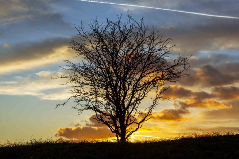 zonsopkomst en zonsondergang fotograferen