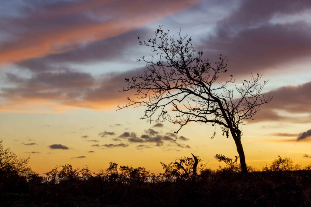 zonsondergang zonsopkomst fotograferen