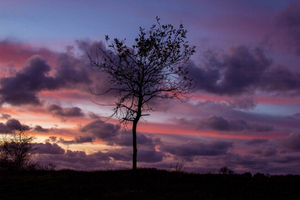 zonsopkomst of zonsondergang fotograferen