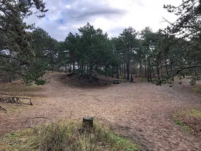 dennenwandeling noordwijk