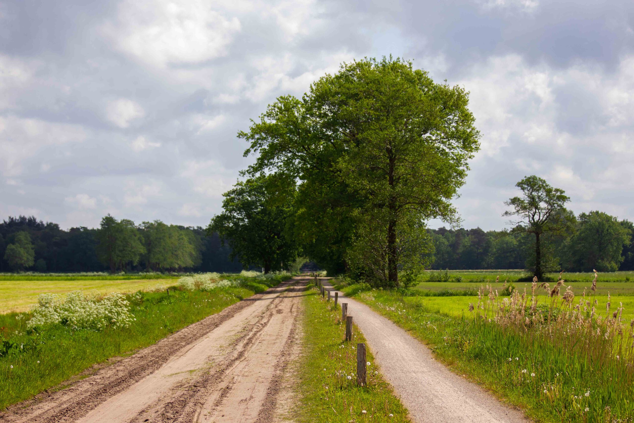 lange afstand wandelpad het pieterpad