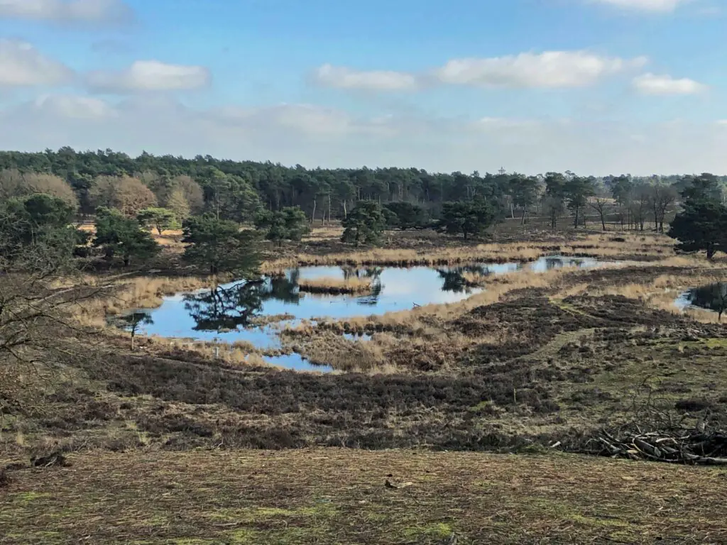 vennetje natuur nederland