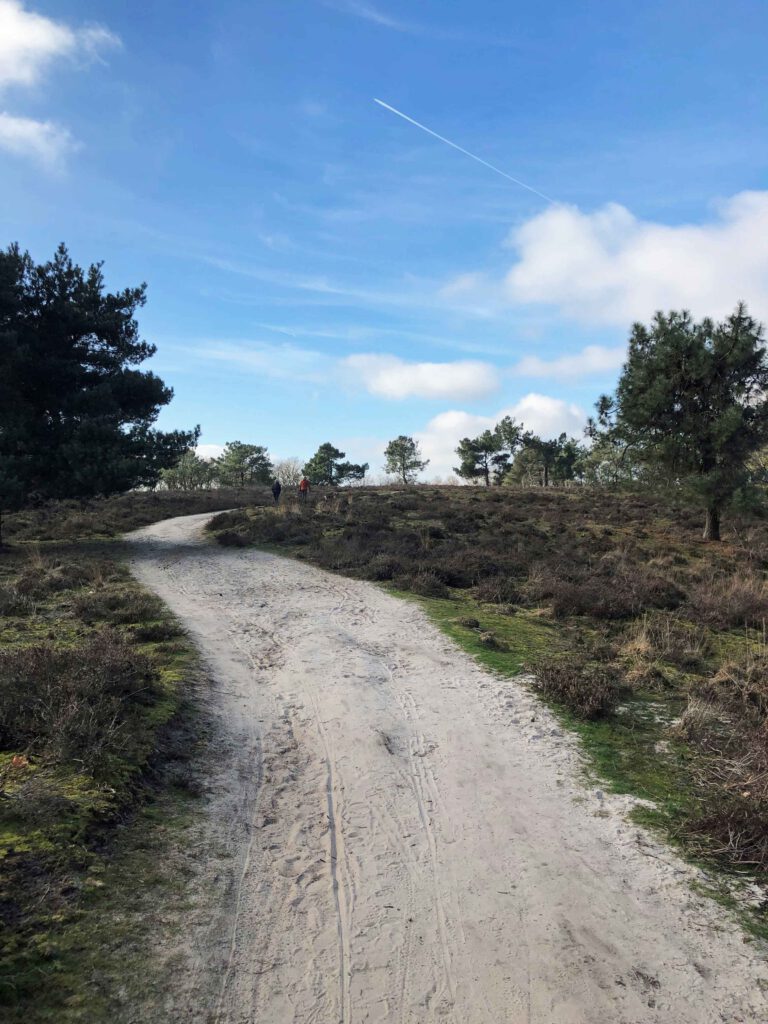 wandelen in nederland