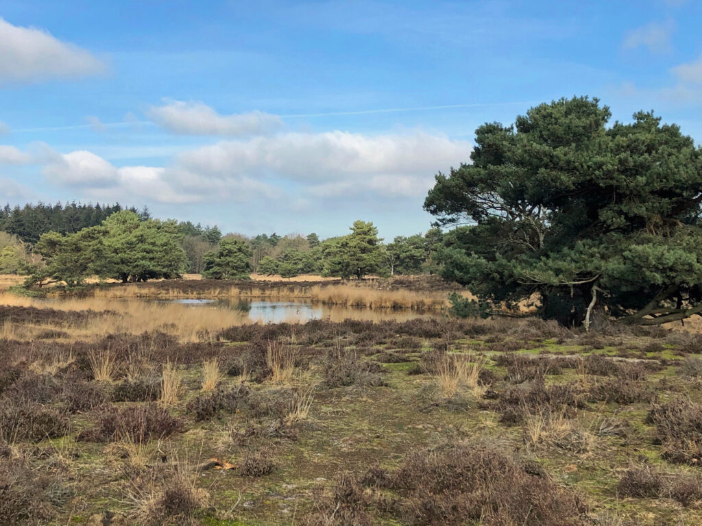 gennep vierlingsbeek