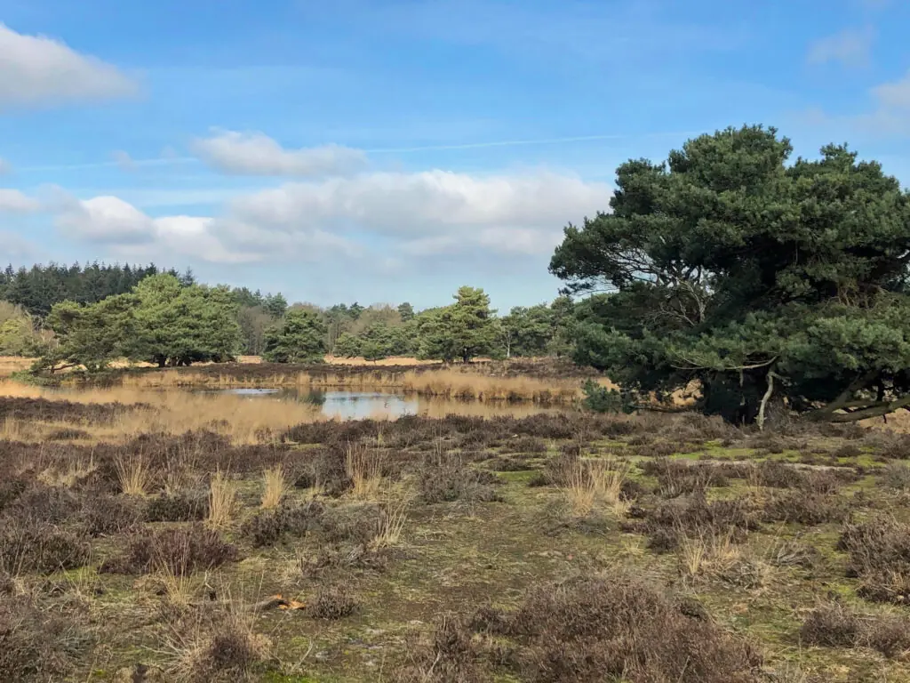 gennep vierlingsbeek