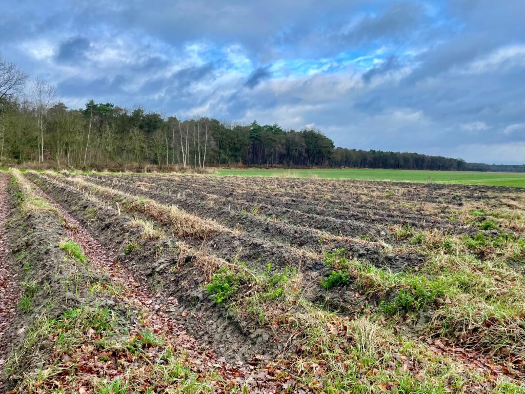 weilanden tussen montfort en sittard