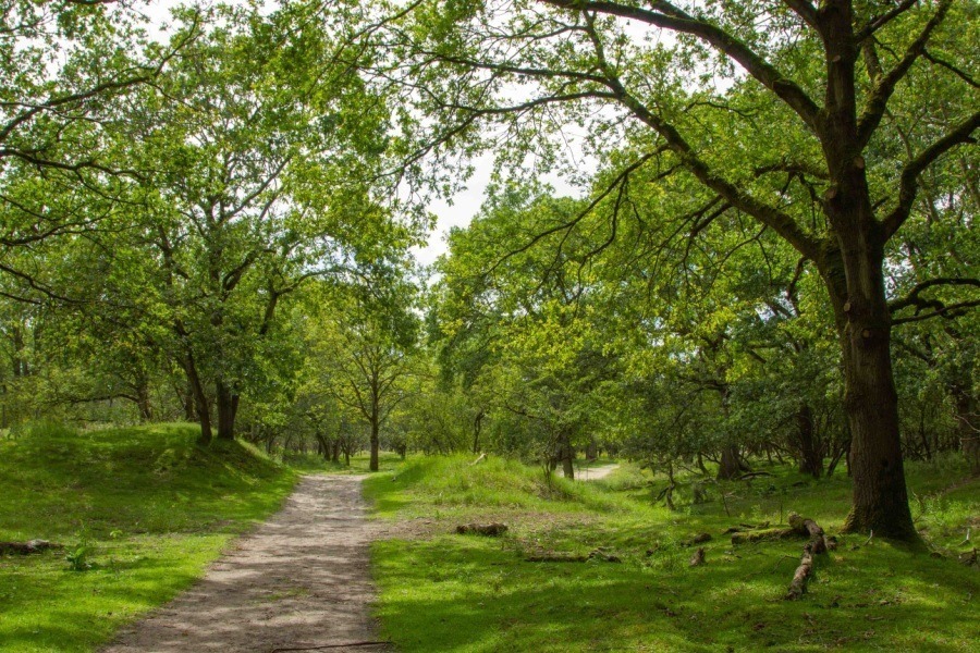 route amsterdamse waterleidingduinen