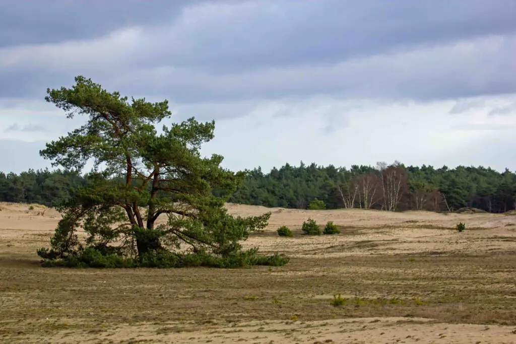 trekvogelpad wandelen