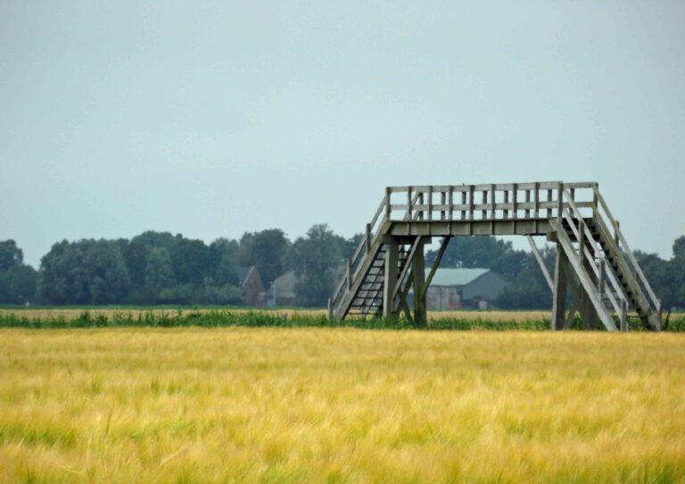 pieterpad onderweg