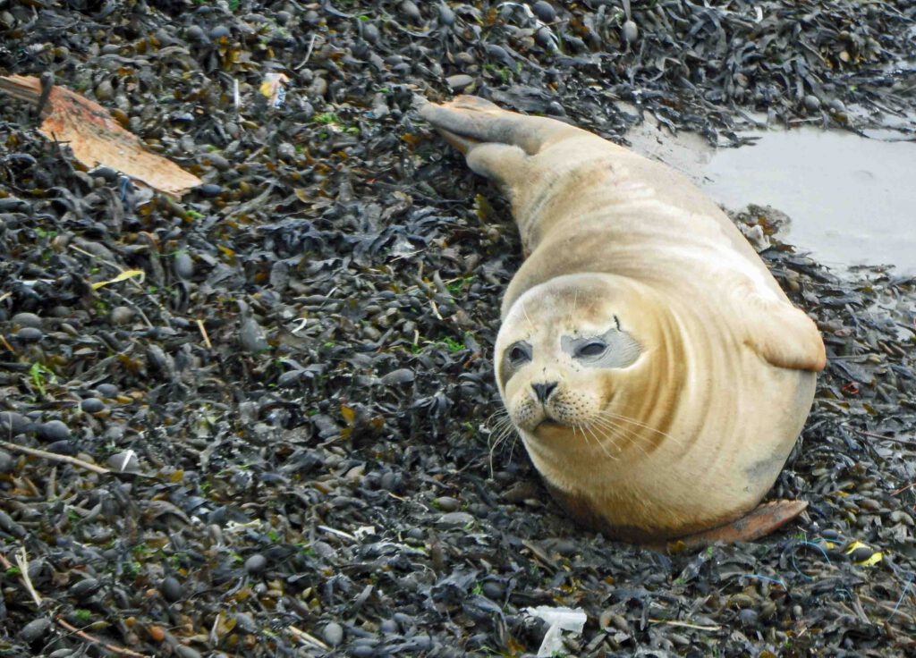 Wandelen op Terschelling: 5 mooie plekken om te ontdekken