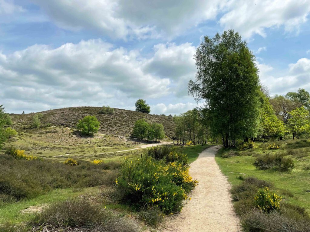 veluwe