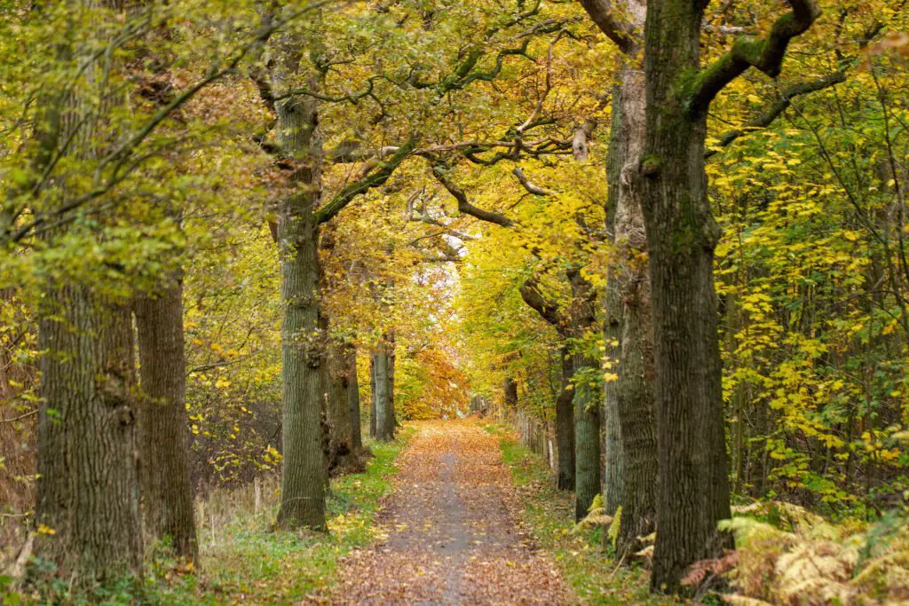 wandelen in kennemerland