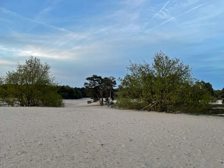 soesterduinen verstuiving