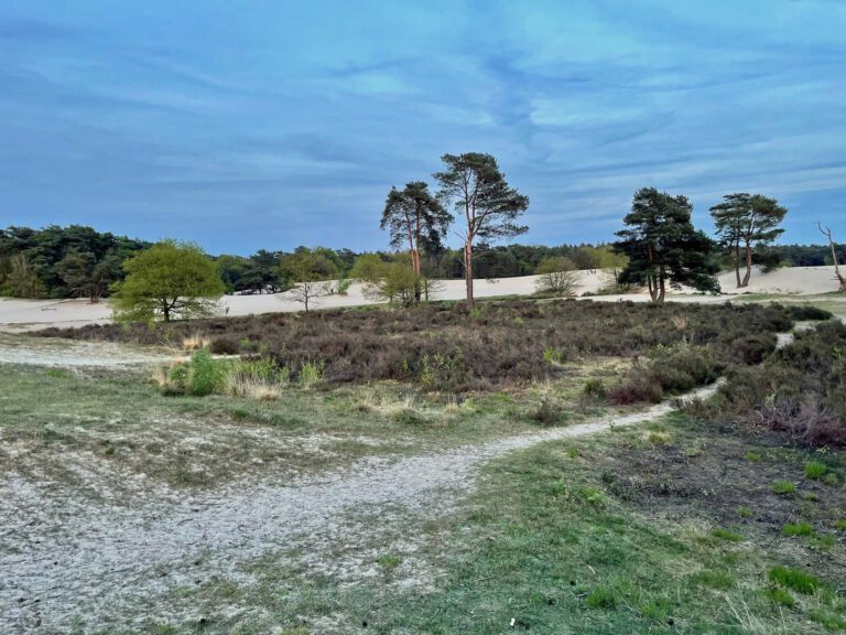 soesterduinen heide