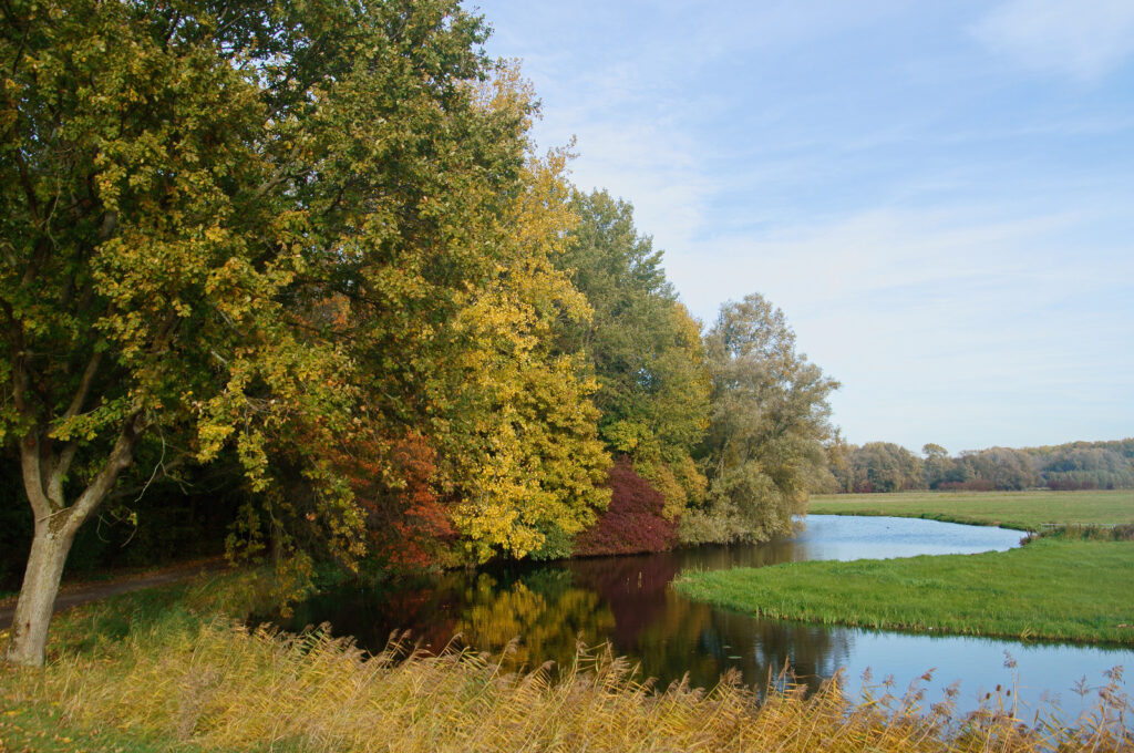 Biesbosch Landschap