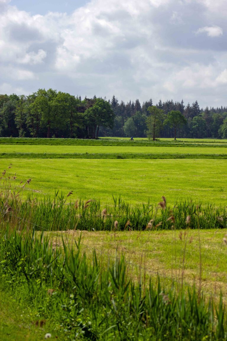 pieterpad landschap