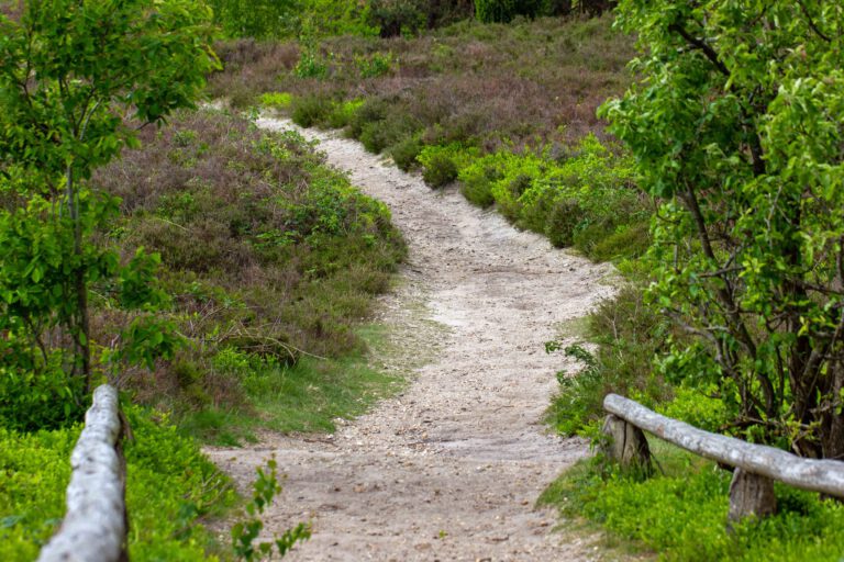 pieterpad wandelen landschap