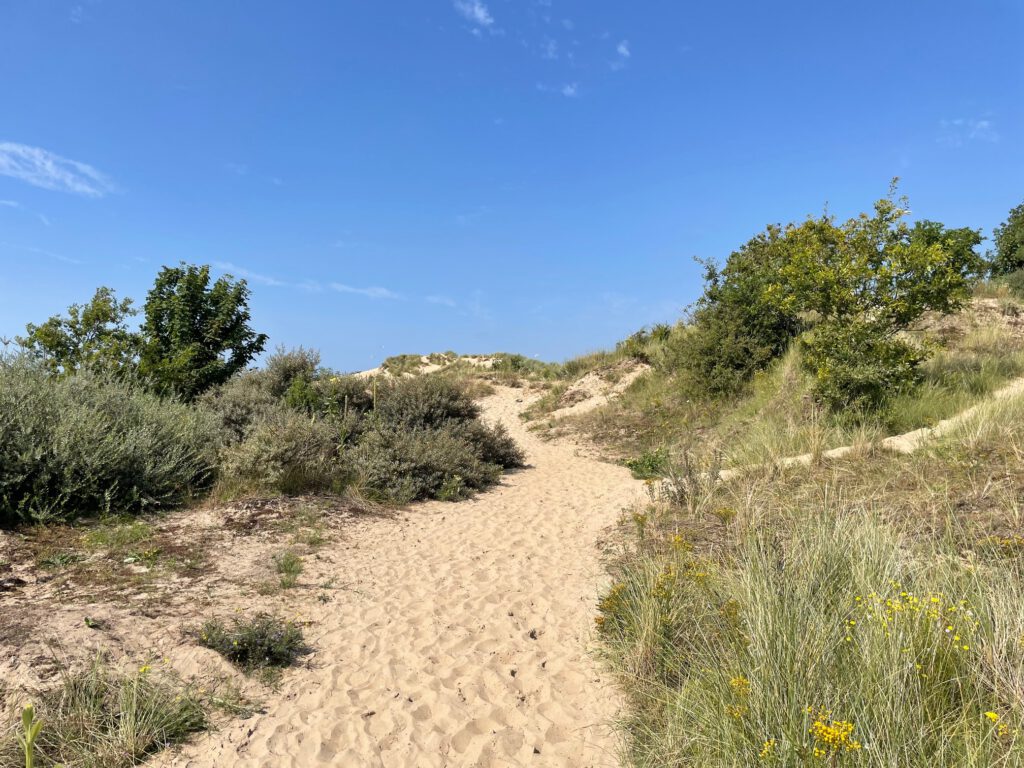 Wandelroutes in de Kennemerduinen bij startpunt Koevlak