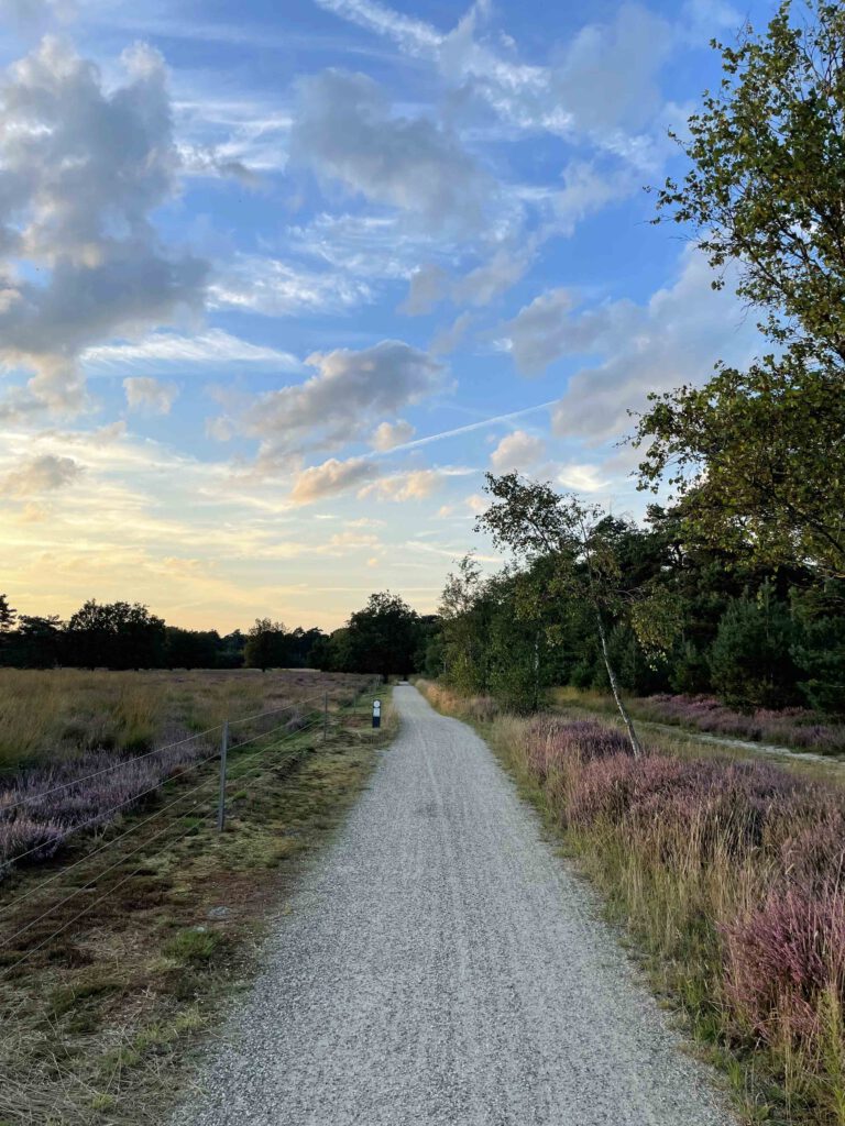 strabrechtse heide wandelen