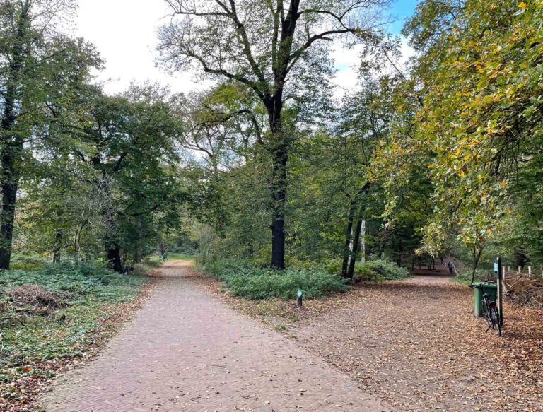 groenedaalse bos wandelen