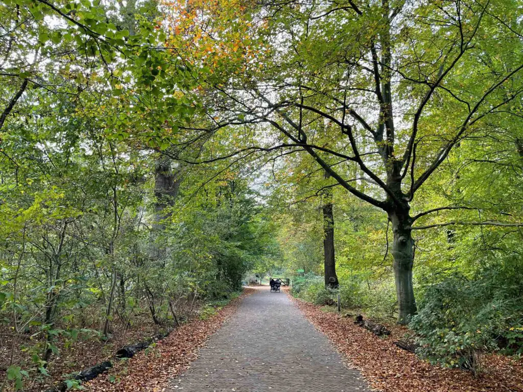 wandelbos groenendaal