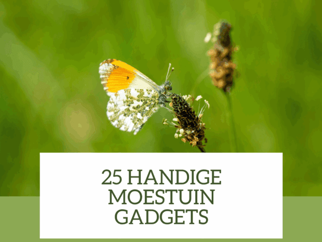 25 handige moestuin gadgets voor een groene en gezonde tuin