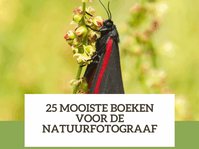 De 25 mooiste boeken voor natuurfotograaf: Inspiratie en kennis voor elke natuurfotograaf
