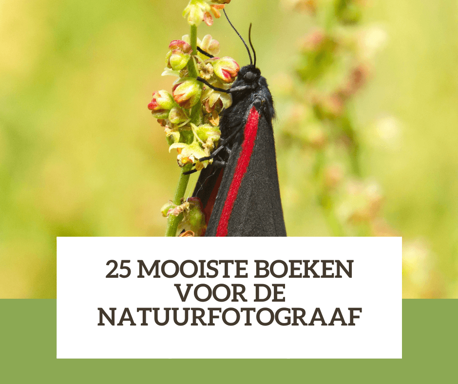 boeken voor natuurfotograaf