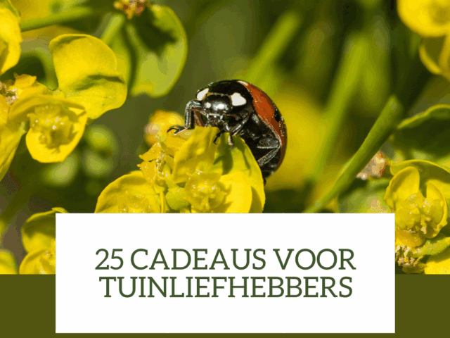 De 25 mooiste cadeaus voor tuinliefhebbers: Inspiratie voor natuurliefhebbers en tuinvrienden