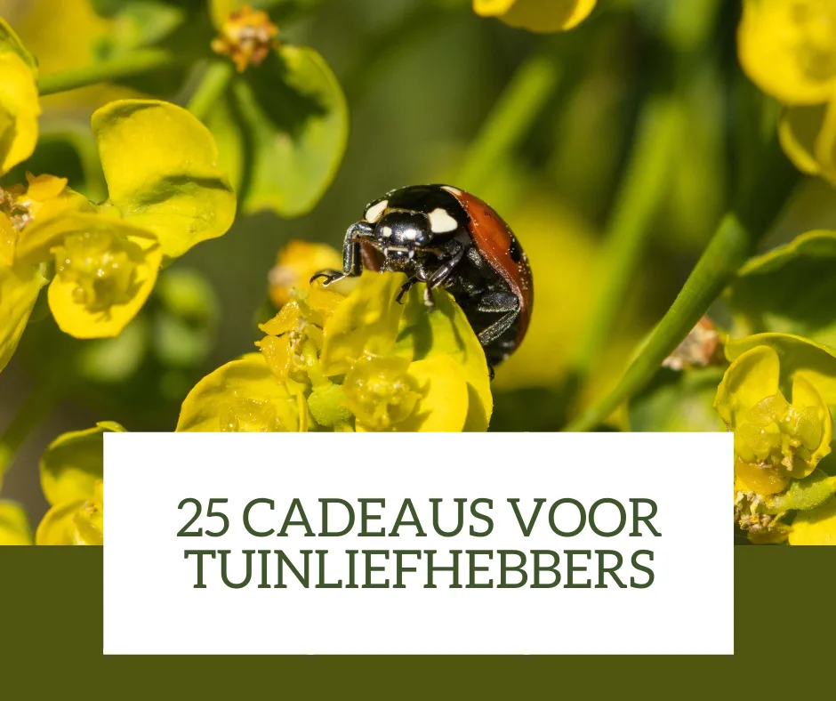 Cadeau voor tuinliefhebber