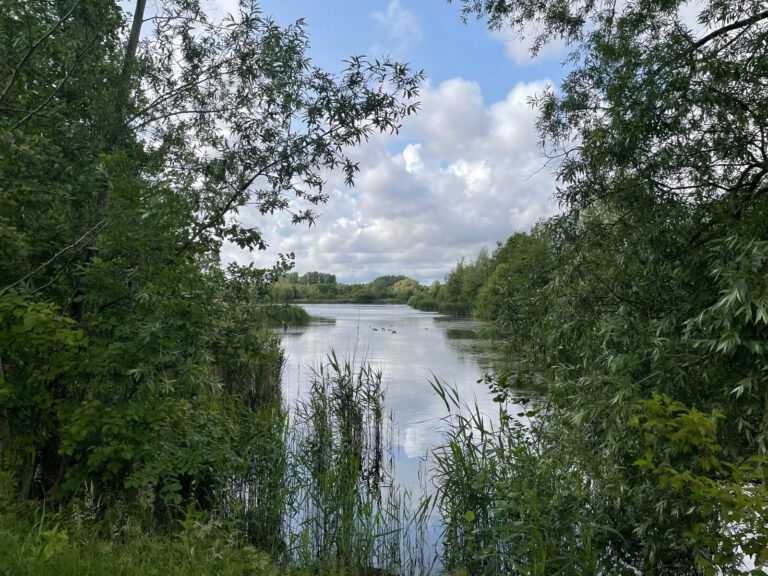 de groene weelde