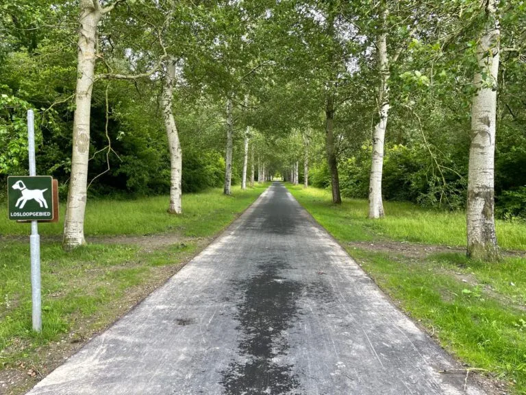 groene weelde losloopgebied hond