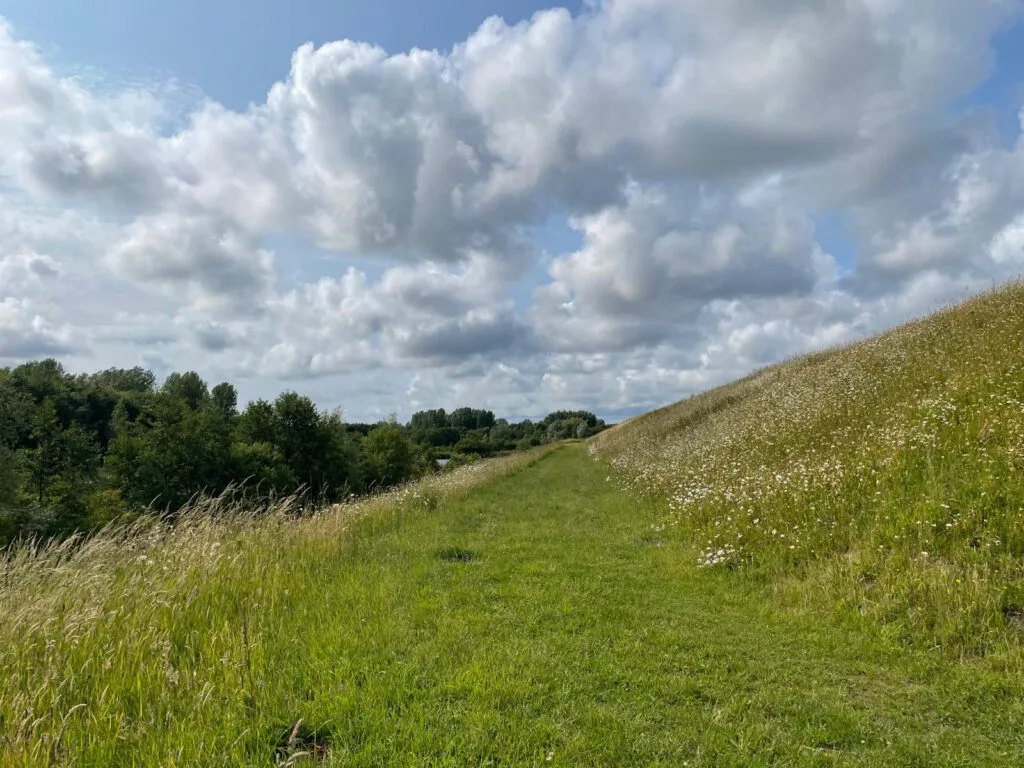 wandelen in groene weelde